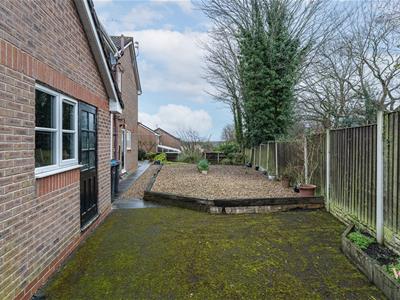 Picture 27